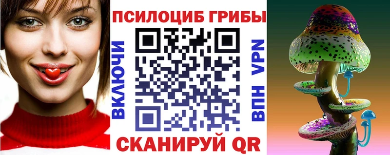 Купить закладки  Мариинский Посад  Галлюциногенные грибы мицелий 